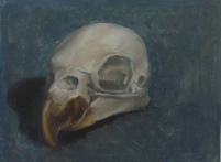 skull parrot 10 x 6 cm. tempera on paper